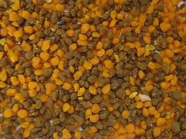 pollen