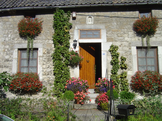 façade fleurie avec callibrachoas million bells