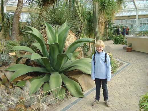  Jardin botanique national Meise