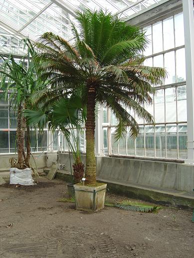  Jardin botanique national Meise