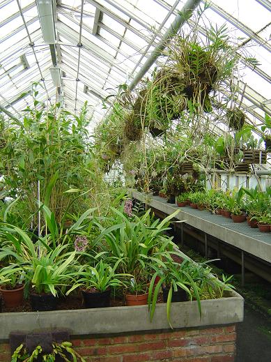  Jardin botanique national Meise