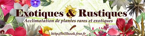 http://billhook.free.fr/