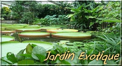 http://jardinexotique.forumpro.fr/forum.htm
