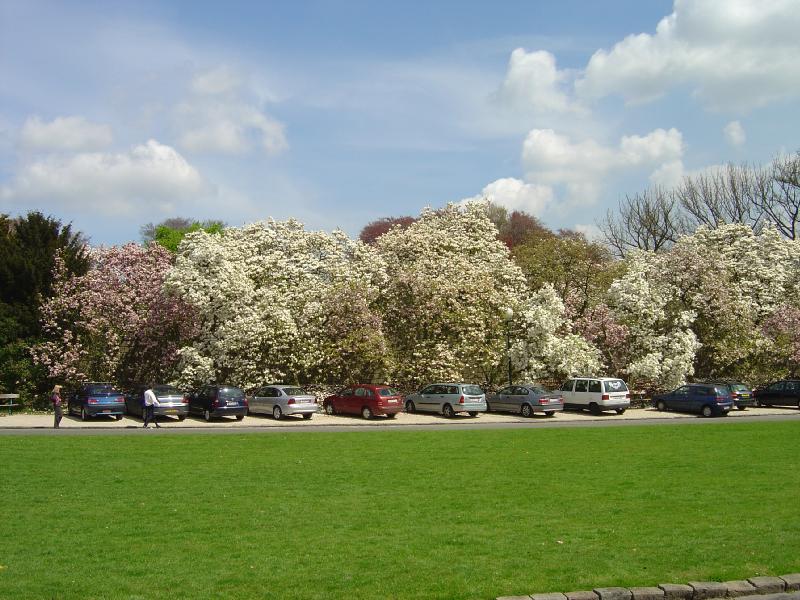 Serres Royales de Laeken