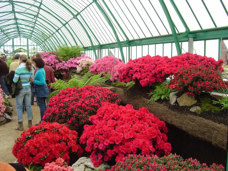 Serres Royales de Laeken