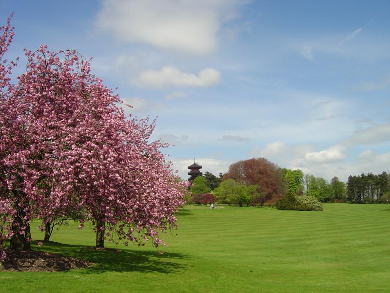 Serres Royales de Laeken