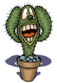 http://www.cactuspro.com/