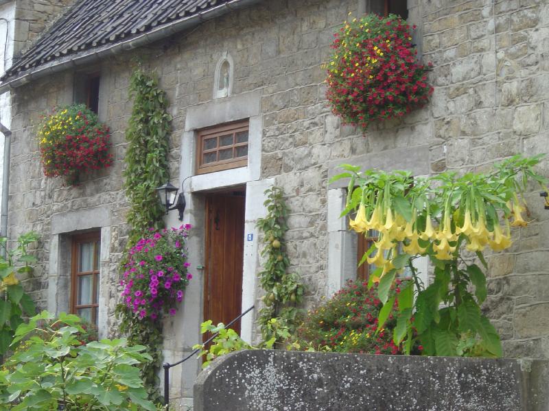 Jolies jardinières et façade fleurie: mode d'emploi 