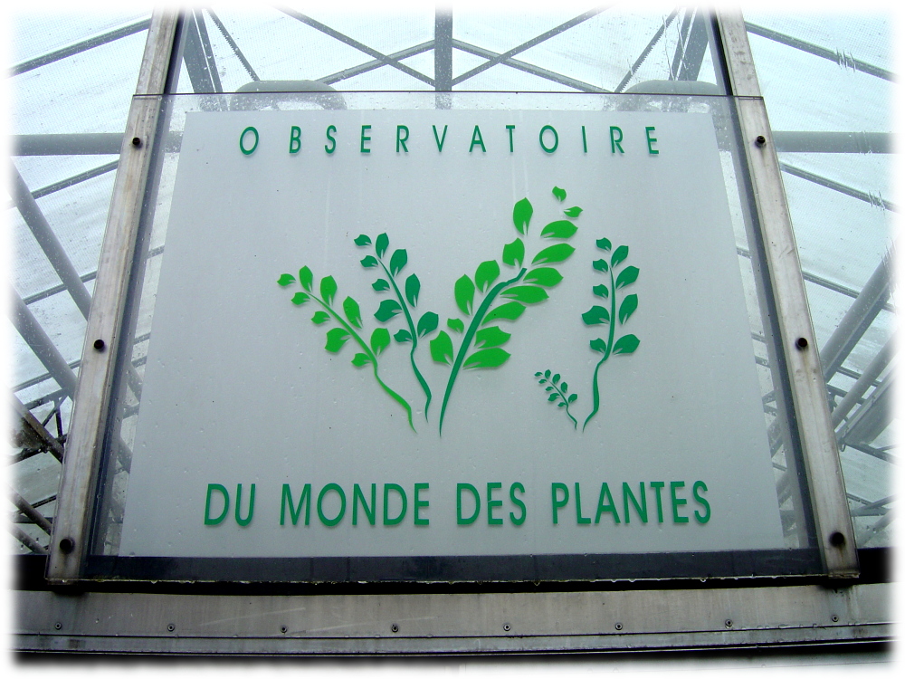 OMP observatoire monde plantes ULG université LiègeX serres jardin botanique
