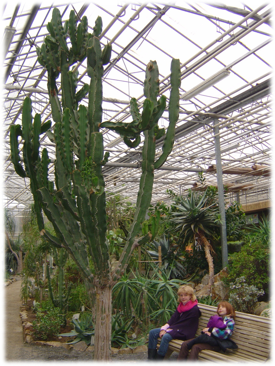 OMP observatoire monde plantes ULG université LiègeX serres jardin botanique