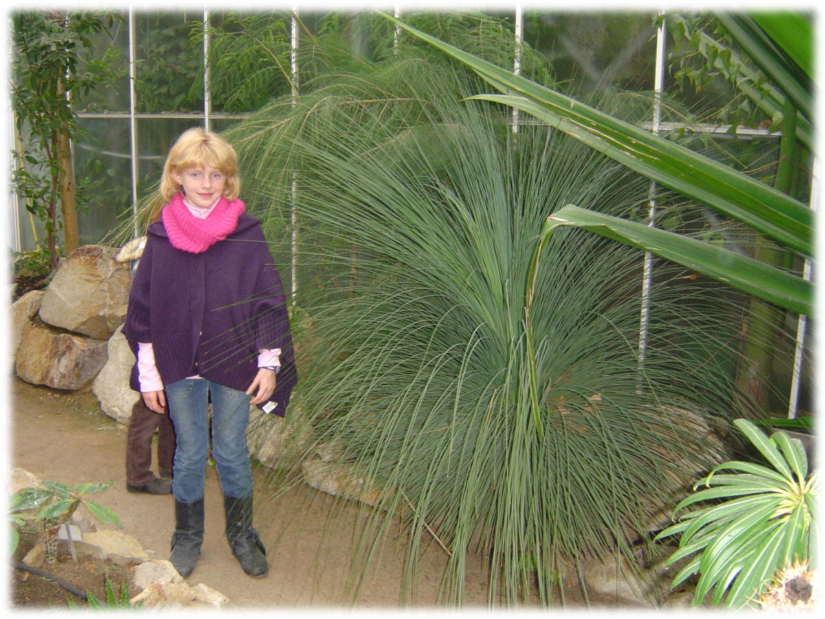 OMP observatoire monde plantes ULG université LiègeX serres jardin botanique