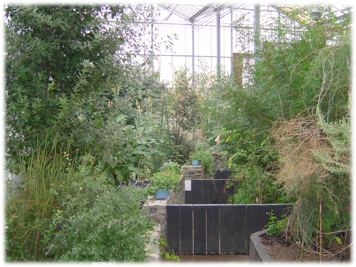 OMP observatoire monde plantes ULG université LiègeX serres jardin botanique