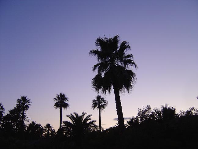 côte d'azur