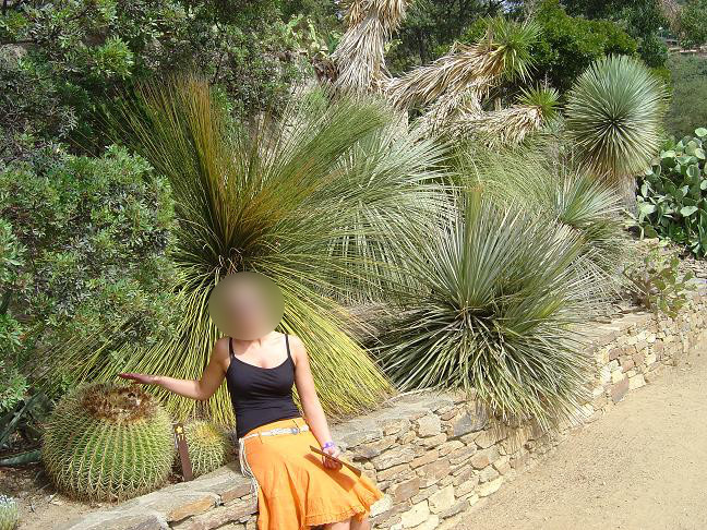 côte d'azur, jardin, rayol-canadel, var