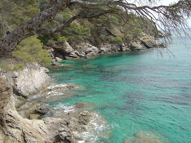 côte d'azur, jardin, rayol-canadel, var