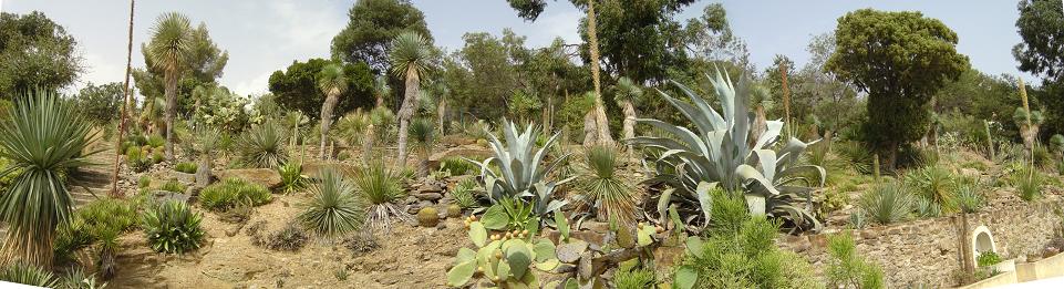 côte d'azur, jardin, rayol-canadel, var