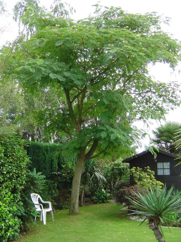 jardin exotique belgique ravijst Ecaussines