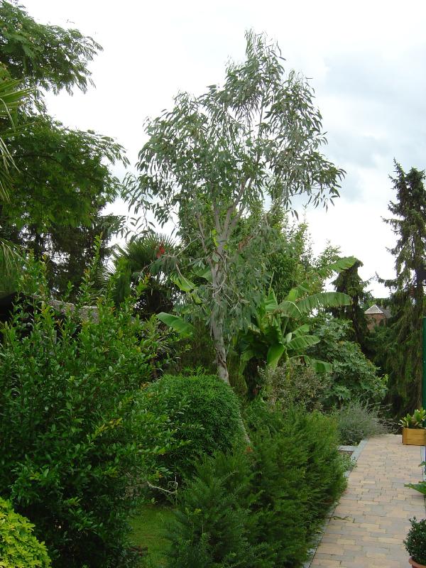 jardin exotique belgique ravijst Ecaussines