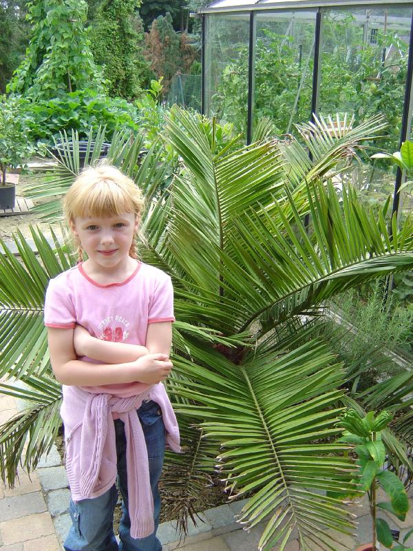 jardin exotique belgique ravijst Ecaussines