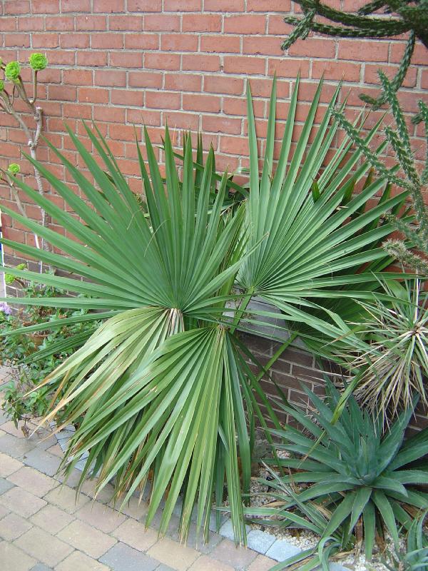 jardin exotique belgique ravijst Ecaussines