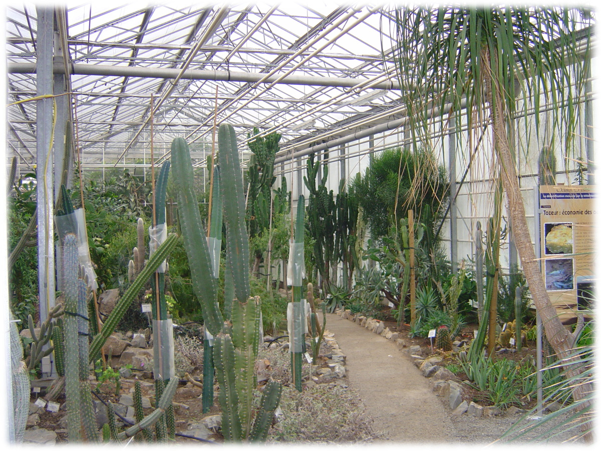 OMP observatoire monde plantes ULG université LiègeX serres jardin botanique