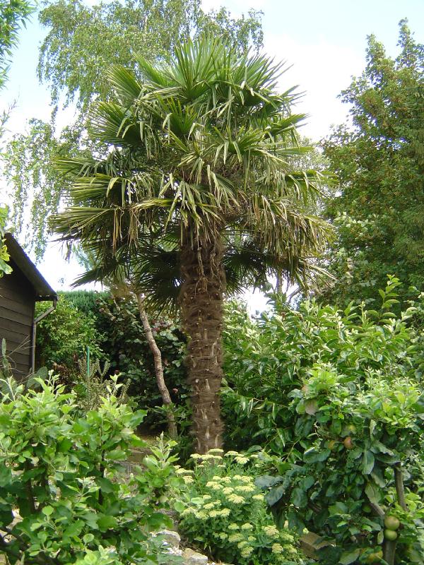 jardin exotique belgique ravijst Ecaussines