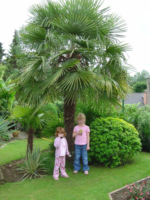 jardin exotique belgique ravijst Ecaussines