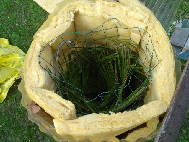 Protection hivernale des plantes frileuses (exotiques et palmiers)